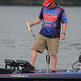 2011Pickwick